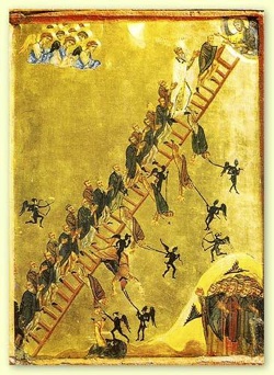 Ladder